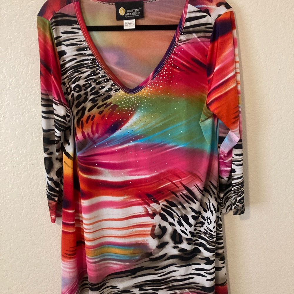 Christine Alexander Multicolor V-Neck embellished Tunic